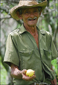 Agricultor cubano / Foto: Raquel Pérez
