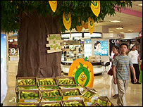 चीन में भारतीय आम