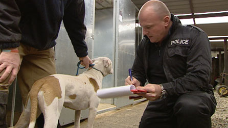 Putting a dog into the kennels