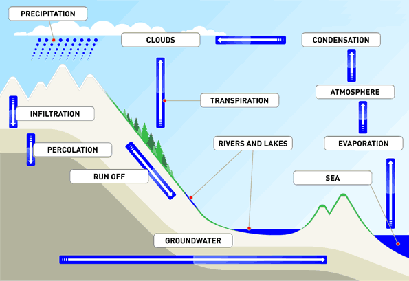 Diagram of the hydrological cycle