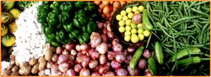 ’اللہ مالک ہے‘