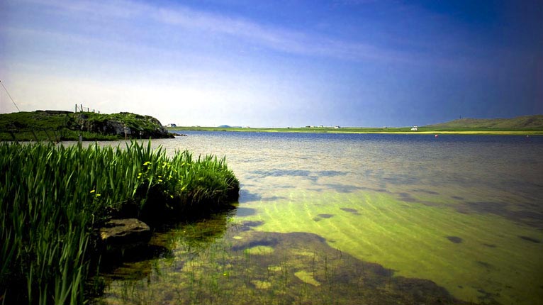 Loch Bhasapoll, Tiriodh