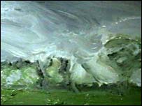 Colin Self's A Picture Of Norfolk (detail)