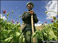 अफ़ग़ानिस्तान में अफ़ीम की खेतीबाड़ी