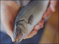 在英国学营养学