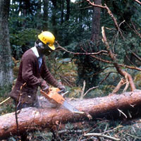 Me in the garden yesterday