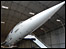 Concorde in hangar at Manchester Airport