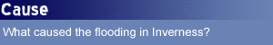 Cause