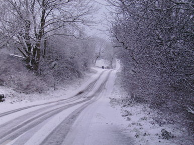 Snowy lane