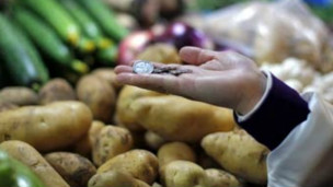 春节前中国各地蔬菜价格大幅上涨