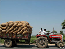 India farm workers