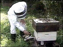 Пасічник біля вулика