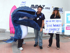 Whale protest