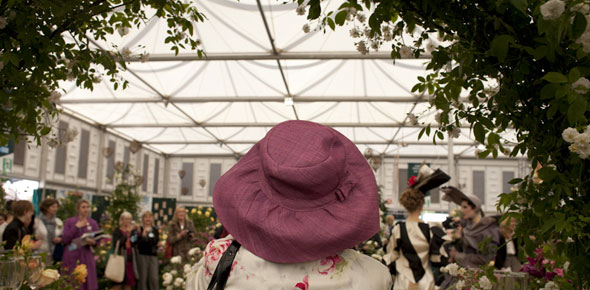 RHS Chelsea Flower Show 2011