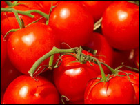 بادنجان رومی