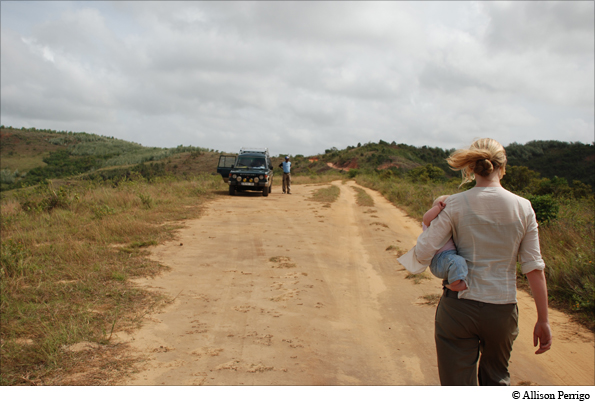 Photo by Allison Perrigo