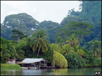 جنگل های حاره ای در کوستاريکا