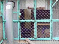 Hàng rào trên mái nhà, khởi điểm của một cuộc tranh chấp về sự thật - hình từ trang của Bloger Điếu Cày