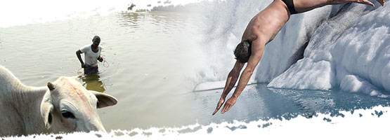 Composite image: Man diving into the sea, snow, boy and cow into a river