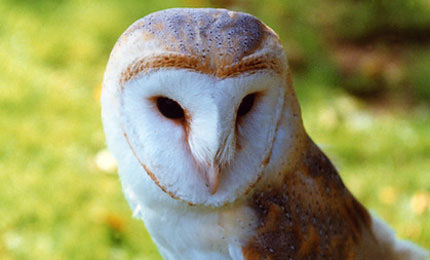 BBC Radio Foyle - Breathing Places Barn Own Gallery Gallery