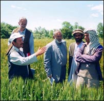 د سروې ټيم د سروې پر مهال