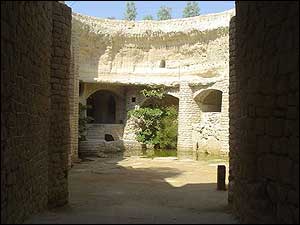 سيد ابراهيم جليلی