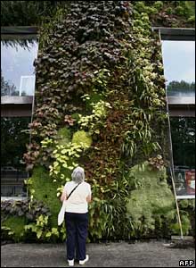 Müzenin bitkilerle sarılmış cephesine bakan kadın