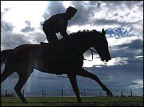 Jezdec na koni - ilustrační foto