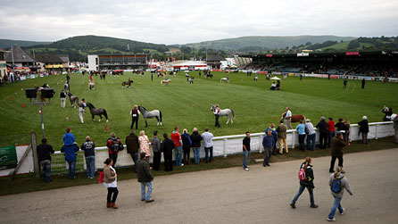Royal Welsh Show main ring