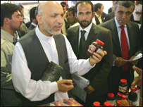 حامد کرزی در هرات