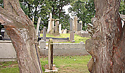 Shankill graveyard, Co Armagh