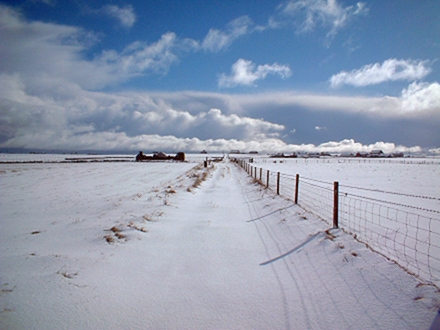 Brenchicott, Sanday, Orkney, 4th March 2006.