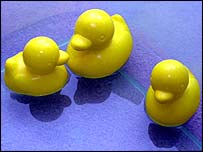Patos de borracha