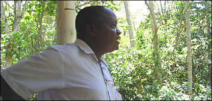 Steve Nsita of the National Forest Authority in Mabira forest
