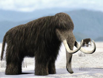 Woolly mammoth