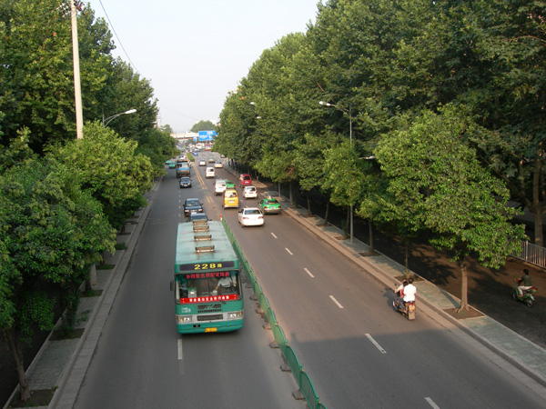 the street near my community