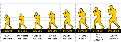 boxers from flyrweight to heavyweight