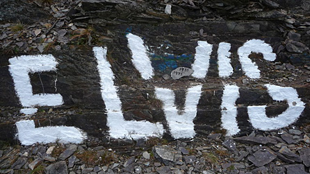 Elvis Rock. Photo: Jeremy Bolwell