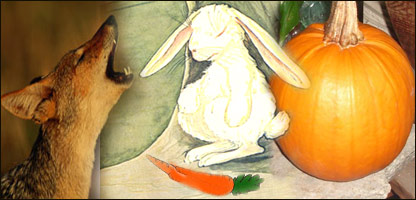  قصه های زندگی