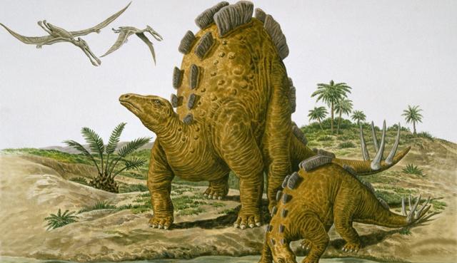 Stegosaur (image: De Agostini UK / Natural History Museum London)