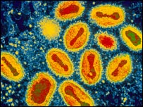 smallpox virus