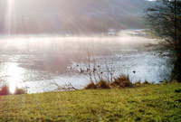 Parc Gwledig Aberdâr gan Susan Ewington 