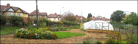 Mexborough Allotments, October 2008