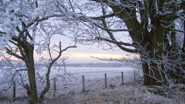 Sunrise, Roxburghshire