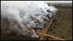Quema de bosques en el Amazonas. 