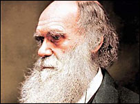 Charles Darwin (Natural History Museum)