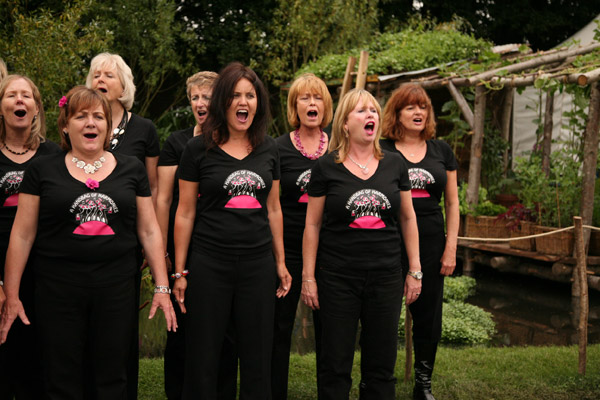 A garden at Tatton Park