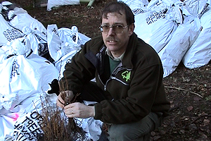 New plants have arrived in the forest, before they can go in the ground though Gareth has to check thier roots and weighs up their chance of survival.