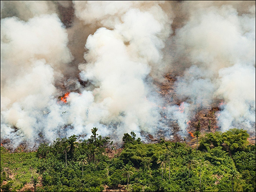 Un incendio en un bosque de la República Democrática del Congo. Foto: Daniel Beltr