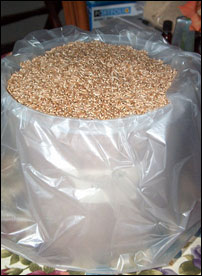 دآبادۍ غږ: دغنمو ساتل